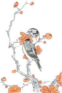 chinese_bulbul_in_sakura_by_piikosama143-d4ozaf8