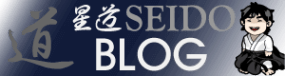 logoblogseido-300x80