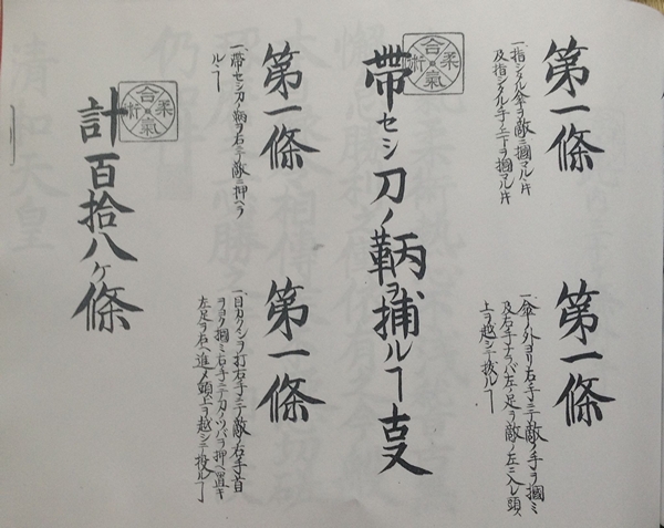 aikijujutsu-118-1925