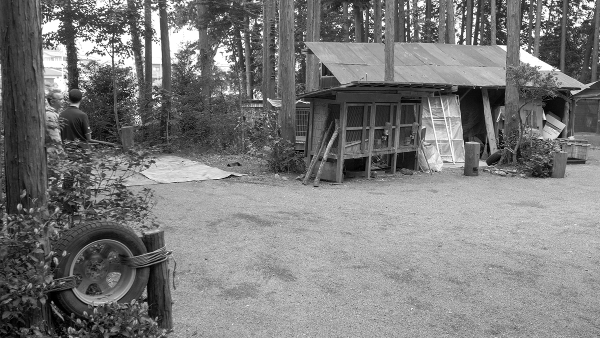 Saito Hitohiro (16)_small